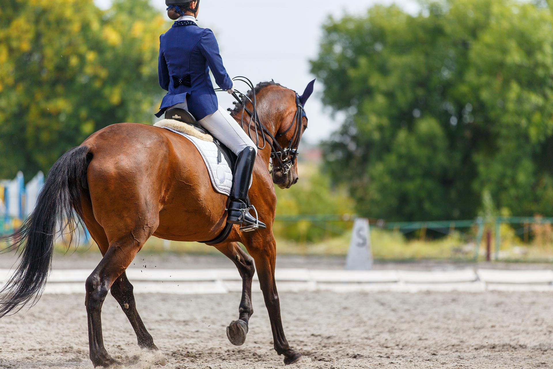 Sportmedizin